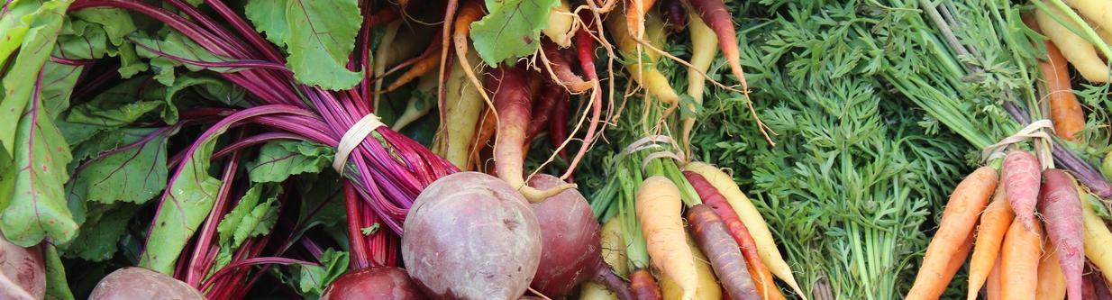 Vegetables, beets and carrots